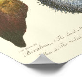 Collectie Poster (Hoek)