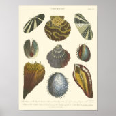 Collectie Poster (Voorkant)