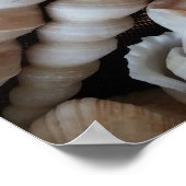 Collectie, Poster, Natuur, zomerbak Poster (Hoek)