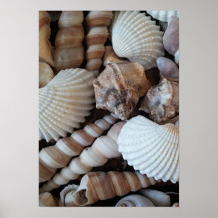 Collectie, Poster, Natuur, zomerbak Poster