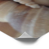 Collectie, Poster, Natuur, zomerbak Poster (Hoek)