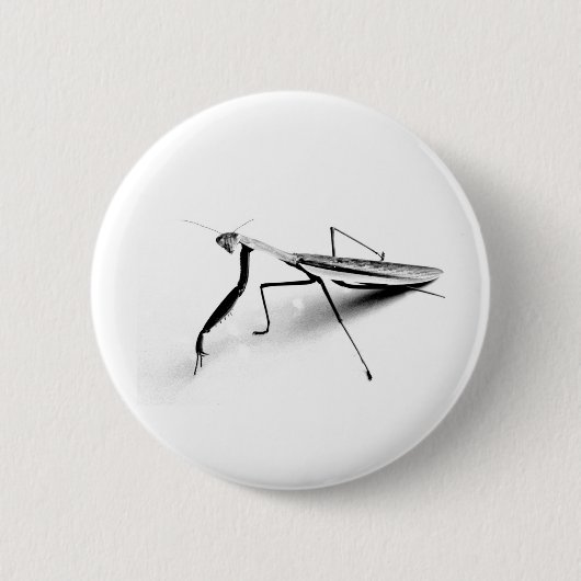 Collectie Praying Mantis Ronde Button 5,7 Cm (Voorkant)