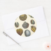 Collectie Ronde Sticker (Envelop)