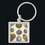 Collectie Sleutelhanger<br><div class="desc">Als je vandaag niet op het strand kunt komen, krijg je dit klassieke afbeelding van dit unieke afbeelding van het leven van het zee van Albertus Seba! Stel je voor dat je op een strand Zee-anemonen ontdekt die de natuur moet aanbieden. Deze seizoenshellen en zee planten door de oceaan zijn...</div>