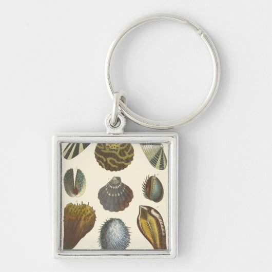 Collectie Sleutelhanger (Voorkant)