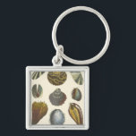 Collectie Sleutelhanger<br><div class="desc">Als je vandaag niet op het strand kunt komen, krijg je dit klassieke afbeelding van dit unieke afbeelding van het leven van het zee van Albertus Seba! Stel je voor dat je op een strand Zee-anemonen ontdekt die de natuur moet aanbieden. Deze seizoenshellen en zee planten door de oceaan zijn...</div>