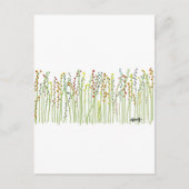 collectie "SPRINGSTROMEN" Briefkaart (Voorkant)