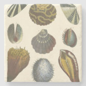 Collectie Stenen Onderzetter (Voorkant)