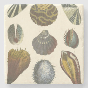 Collectie Stenen Onderzetter