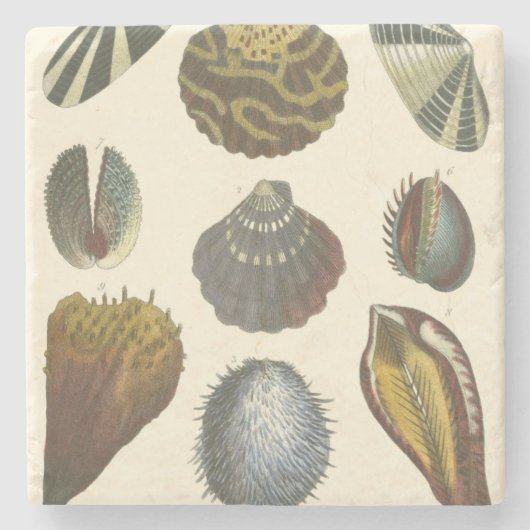 Collectie Stenen Onderzetter (Voorkant)