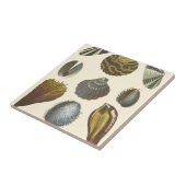 Collectie Tegeltje (Zijkant)