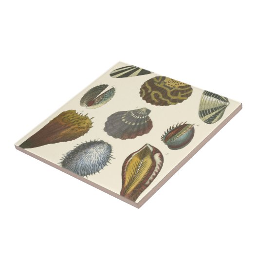 Collectie Tegeltje (Zijkant)