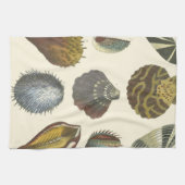 Collectie Theedoek (Horizontaal)