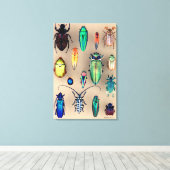 Collectie van beetel canvas afdruk (Insitu (Houten vloer))