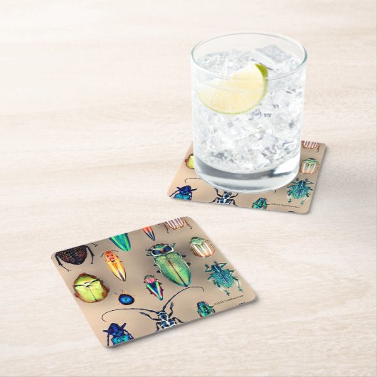 Collectie van beetel kartonnen onderzetters (Insitu)