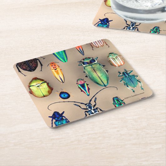 Collectie van beetel kartonnen onderzetters (Schuin)