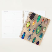 Collectie van beetel planner (Display)