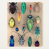 Collectie van beetel planner (Achterkant)