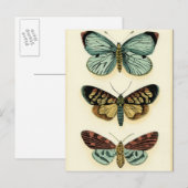 Collectie van Butterfly door Chariklia Zarris Briefkaart (Voorkant / Achterkant)