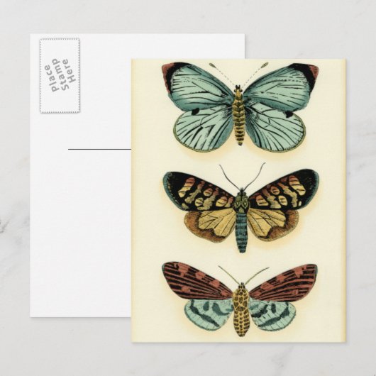 Collectie van Butterfly door Chariklia Zarris Briefkaart (Voorkant / Achterkant)