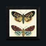 Collectie van Butterfly door Chariklia Zarris Cadeaudoosje<br><div class="desc">Dit schilderij van Chariklia Zarris is een droom van lepidopteristen! Een verbluffend gedetailleerde afdruk van een vlinder collectie,  dit stuk is verbluffend in het gebruik van kleur. Krijg vandaag je kopie!</div>