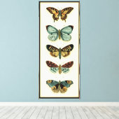 Collectie van Butterfly door Chariklia Zarris Canvas Afdruk (Insitu (Houten vloer))