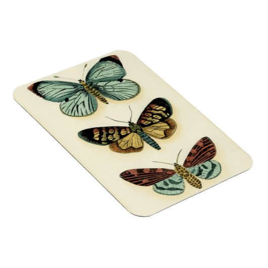 Collectie van Butterfly door Chariklia Zarris Magneet (Rechterzijde)
