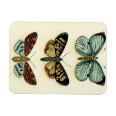 Collectie van Butterfly door Chariklia Zarris Magneet (Horizontaal)