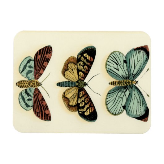 Collectie van Butterfly door Chariklia Zarris Magneet (Horizontaal)