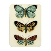 Collectie van Butterfly door Chariklia Zarris Magneet (Verticaal)