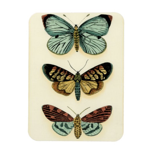 Collectie van Butterfly door Chariklia Zarris Magneet (Verticaal)