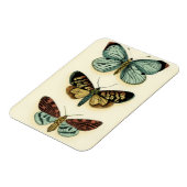 Collectie van Butterfly door Chariklia Zarris Magneet (Linkerzijde)