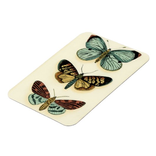 Collectie van Butterfly door Chariklia Zarris Magneet (Linkerzijde)
