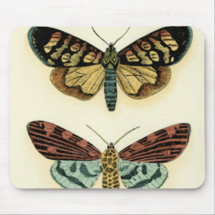 Collectie van Butterfly door Chariklia Zarris Muismat