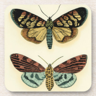 Collectie van Butterfly door Chariklia Zarris Onderzetter