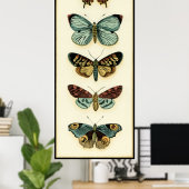 Collectie van Butterfly door Chariklia Zarris Poster (Thuiskantoor)