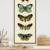 Collectie van Butterfly door Chariklia Zarris Poster (Keuken)
