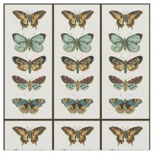 Collectie van Butterfly door Chariklia Zarris Stof