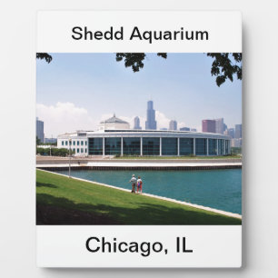 Collectie van Chicago Shedd Aquarium Fotoplaat