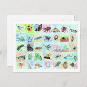 Collectie van de zomerbijbel in Waterverf Briefkaart (Voorkant / Achterkant)