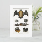 Collectie van diverse vleermuizen bedankkaart (Staand voorkant)