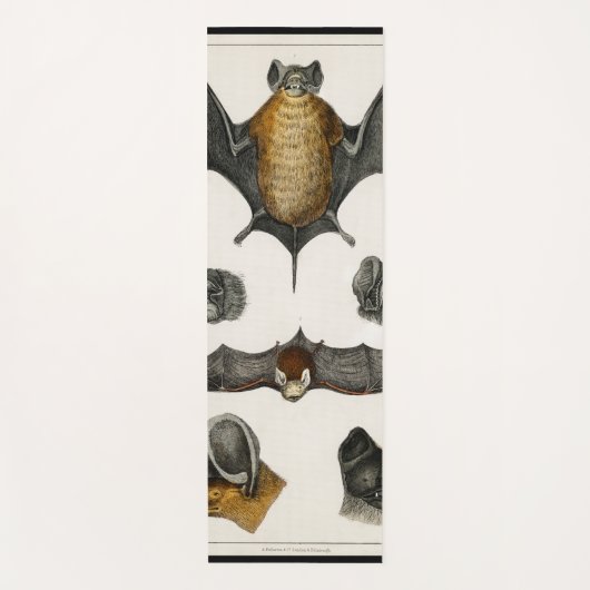 Collectie van diverse vleermuizen yogamat (Voorkant)