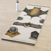 Collectie van diverse vleermuizen