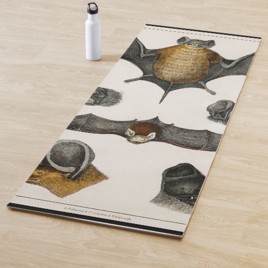 Collectie van diverse vleermuizen yogamat (In situ)