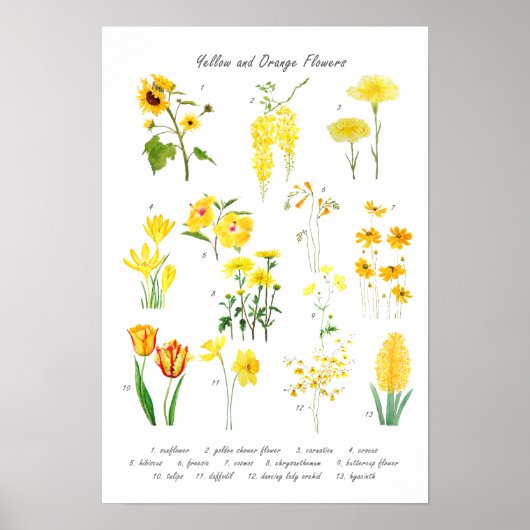 collectie van gele en oranje bloemen poster (Voorkant)