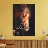 collectie van het paard: arabisch rood canvas afdruk (Insitu (Woonkamer))