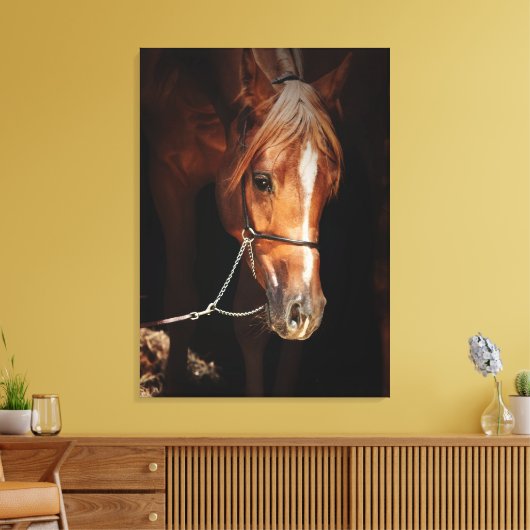 collectie van het paard: arabisch rood canvas afdruk (Insitu (Woonkamer))