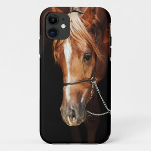 collectie van het paard: Arabische rode omhulling  Case-Mate iPhone Case