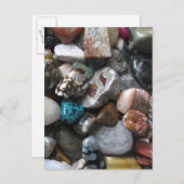 Collectie van het prachtige, vervuilde Briefkaart (Voorkant / Achterkant)