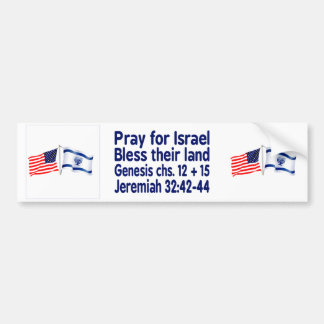 Collectie van Israëlische en Amerikaanse vlag Bumpersticker